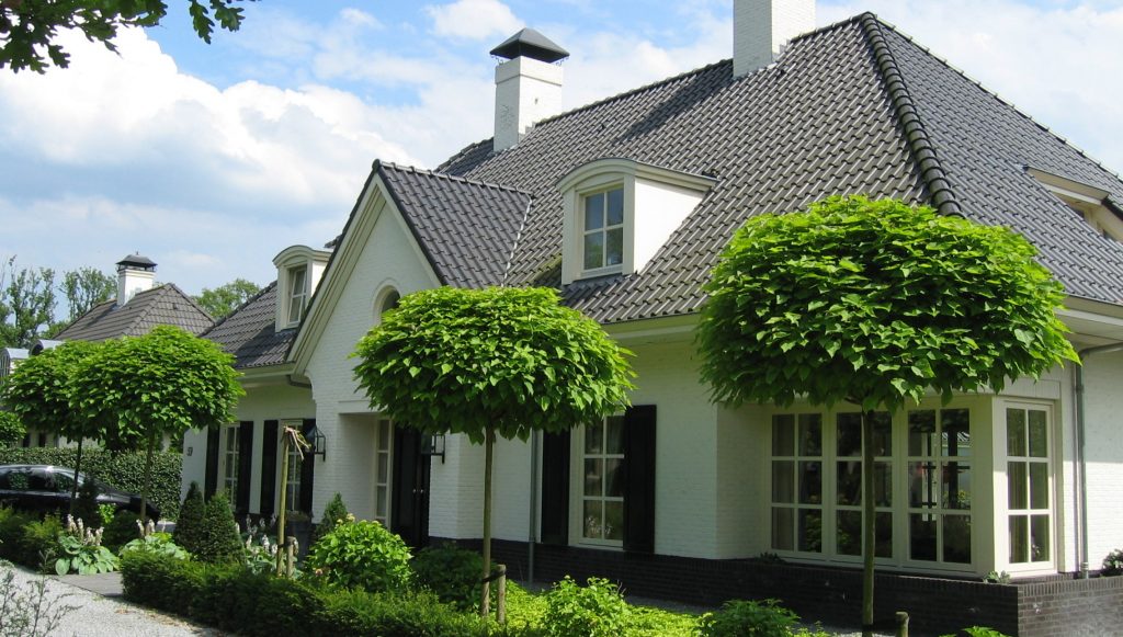 witte villa